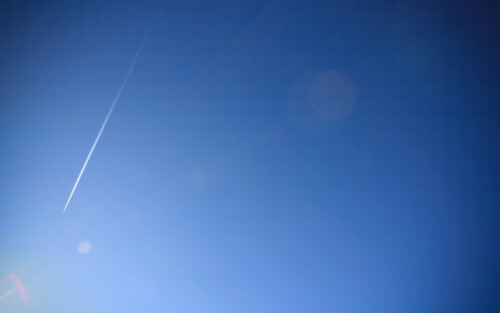 Miscellaneous-3492.jpg