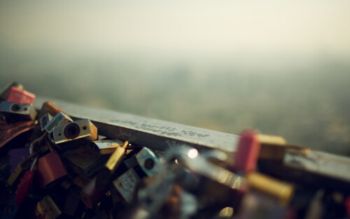 Miscellaneous-4154.jpg