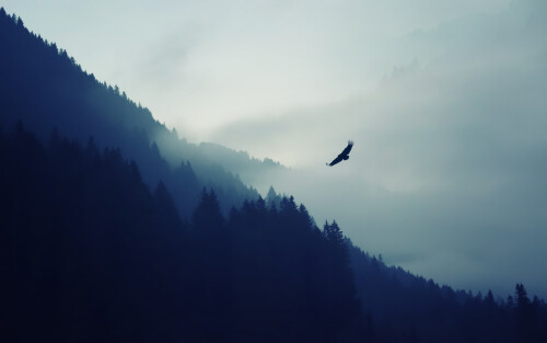 4k Ultra Hd Wallpaper clubwallpapers(185)