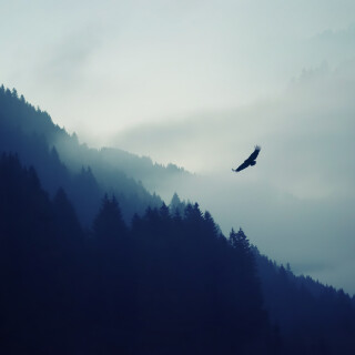 4k-Ultra-Hd-Wallpaper-clubwallpapers185