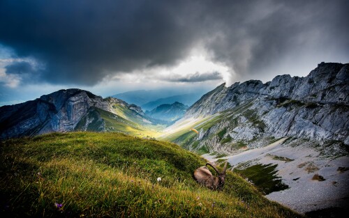 4k Ultra Hd Wallpaper clubwallpapers(235)