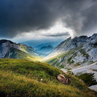 4k-Ultra-Hd-Wallpaper-clubwallpapers235