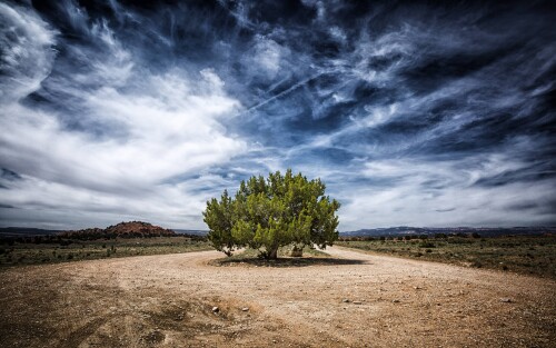 4k Ultra Hd Wallpaper clubwallpapers(24)