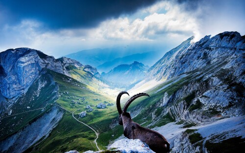 4k Ultra Hd Wallpaper clubwallpapers(254)