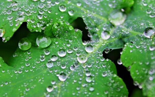 4k Ultra Hd Wallpaper clubwallpapers(398)