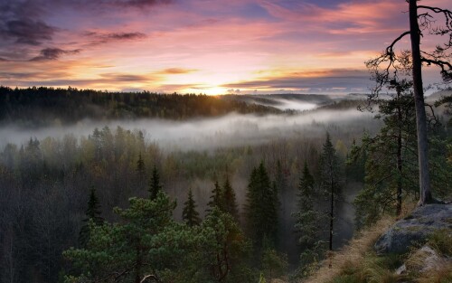 4k Ultra Hd Wallpaper clubwallpapers(445)