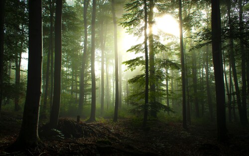 4k Ultra Hd Wallpaper clubwallpapers(465)
