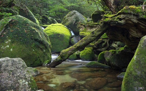 4k Ultra Hd Wallpaper clubwallpapers(48)