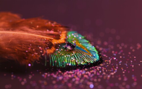 4k Ultra Hd Wallpaper clubwallpapers(482)
