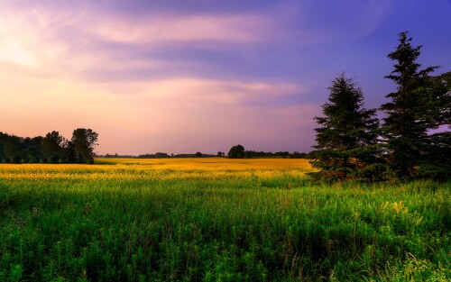 4k Ultra Hd Wallpaper clubwallpapers(531)