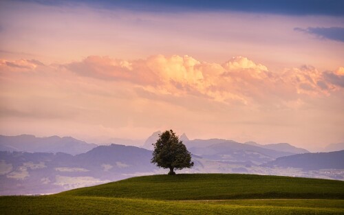 4k Ultra Hd Wallpaper clubwallpapers(554)