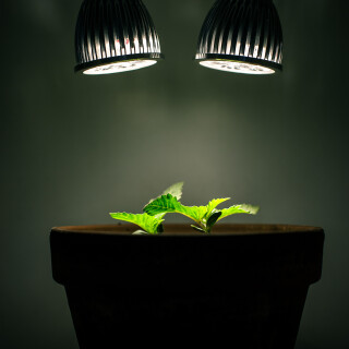 4k-Ultra-Hd-Wallpaper-clubwallpapers65