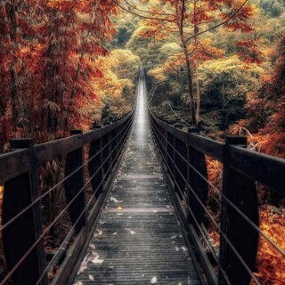 Arts--Design-Wallpaper-14