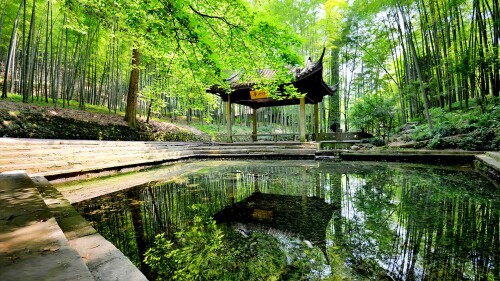 Bing HD Wallpaper (11)
