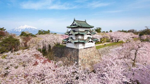 Bing HD Wallpaper (17)