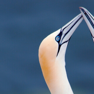 Bing-HD-Wallpaper-25