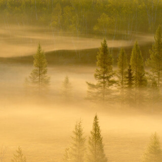 Bing-HD-Wallpaper-33
