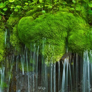 Bing-HD-Wallpaper-38