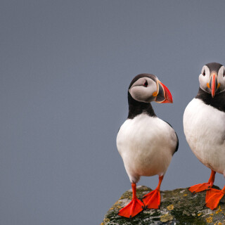 Bing-HD-Wallpaper-4