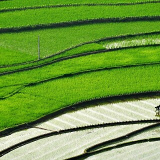 Bing-HD-Wallpaper-45