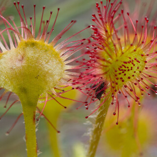 Bing-HD-Wallpaper-59