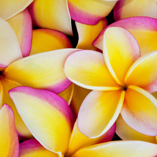 Bing-HD-Wallpaper-62