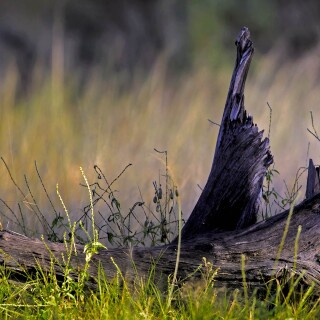 Bing-HD-Wallpaper-64