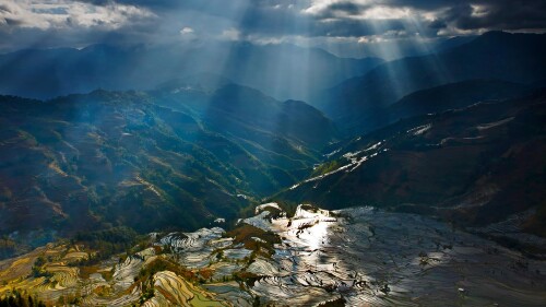 Bing HD Wallpaper (66)