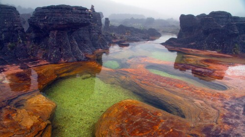 Bing HD Wallpaper (69)
