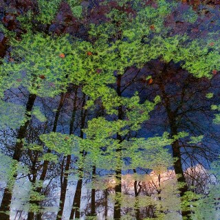 Bing-HD-Wallpaper-7