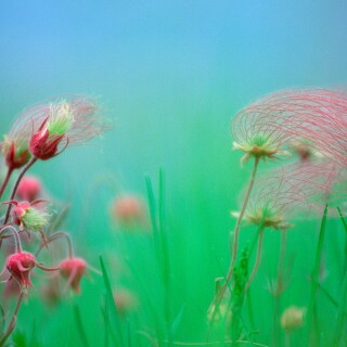Bing-HD-Wallpaper-72