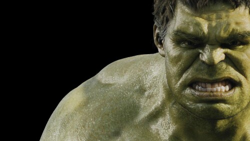 Hulk Wallpapers clubwallpapers (25)