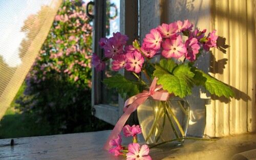 Miscellaneous (1119)