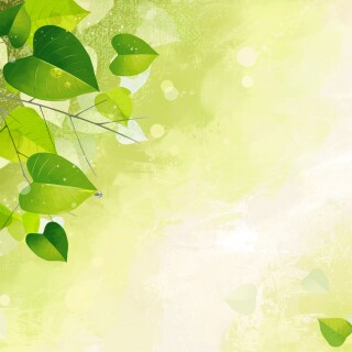 Miscellaneous-126