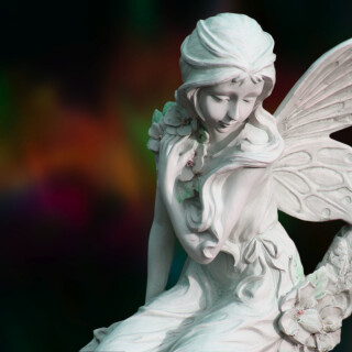 Miscellaneous-1336