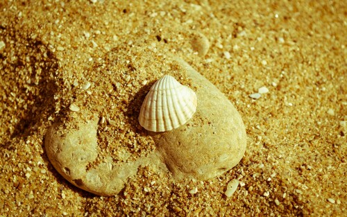 Miscellaneous-1395.jpg