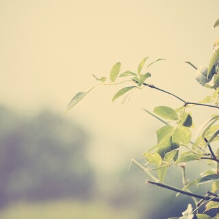 Miscellaneous-1402