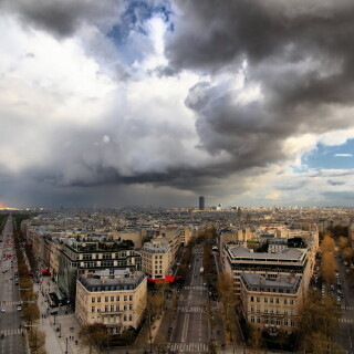 Miscellaneous-1425