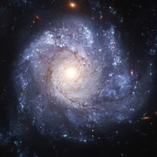 Miscellaneous-1543