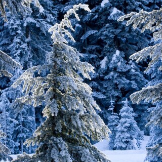 Miscellaneous-2023