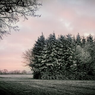 Miscellaneous-2352