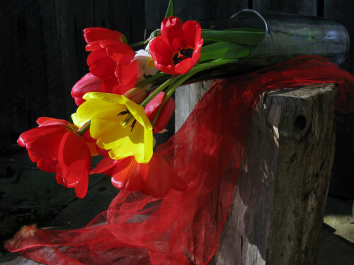 Miscellaneous (2428)