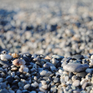 Miscellaneous-2642