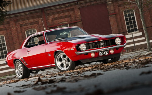 Miscellaneous (2737)