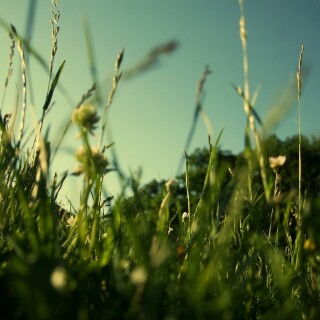 Miscellaneous-2980