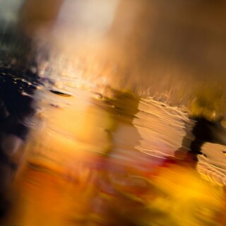 Miscellaneous-2991