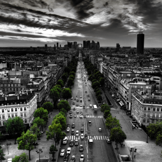 Miscellaneous-3