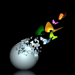 Miscellaneous-3043