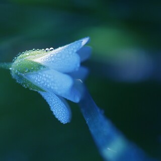 Miscellaneous-3045