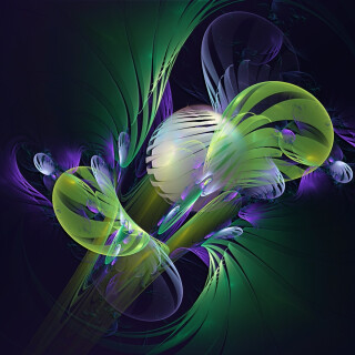 Miscellaneous-3146